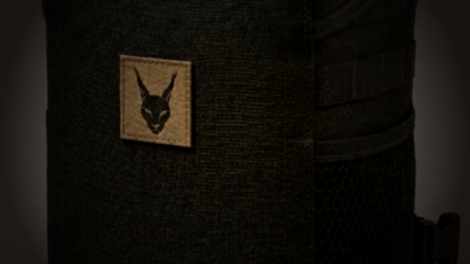 WESHQ caracal mark in shadow — product withheld